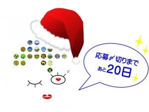 応募〆切りまであと20日